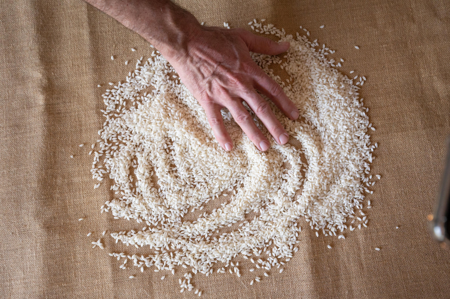Organic vialone nano rice